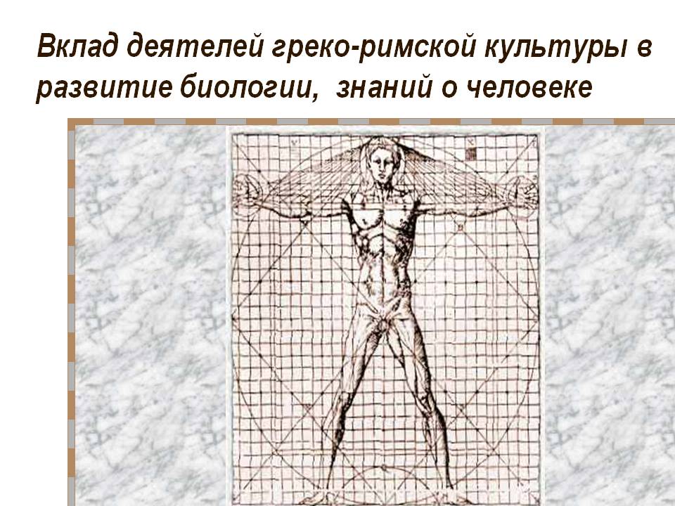 Вклад деятелей греко-римской культуры в развитие биологии, знаний о