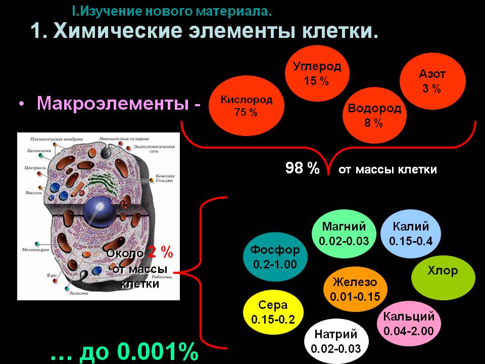 Макроэлементы