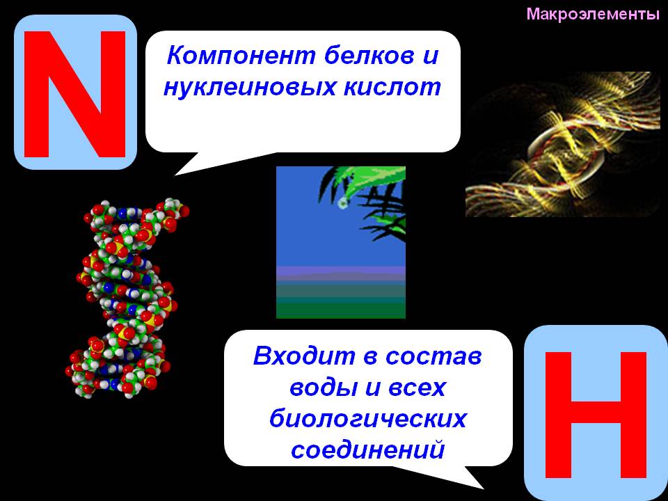 Компонент белков