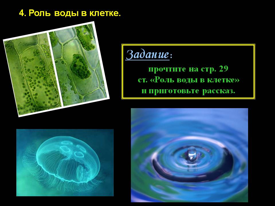 Задание
