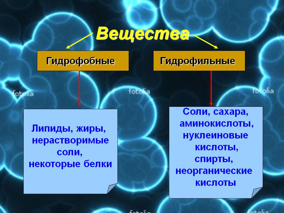 Вещества