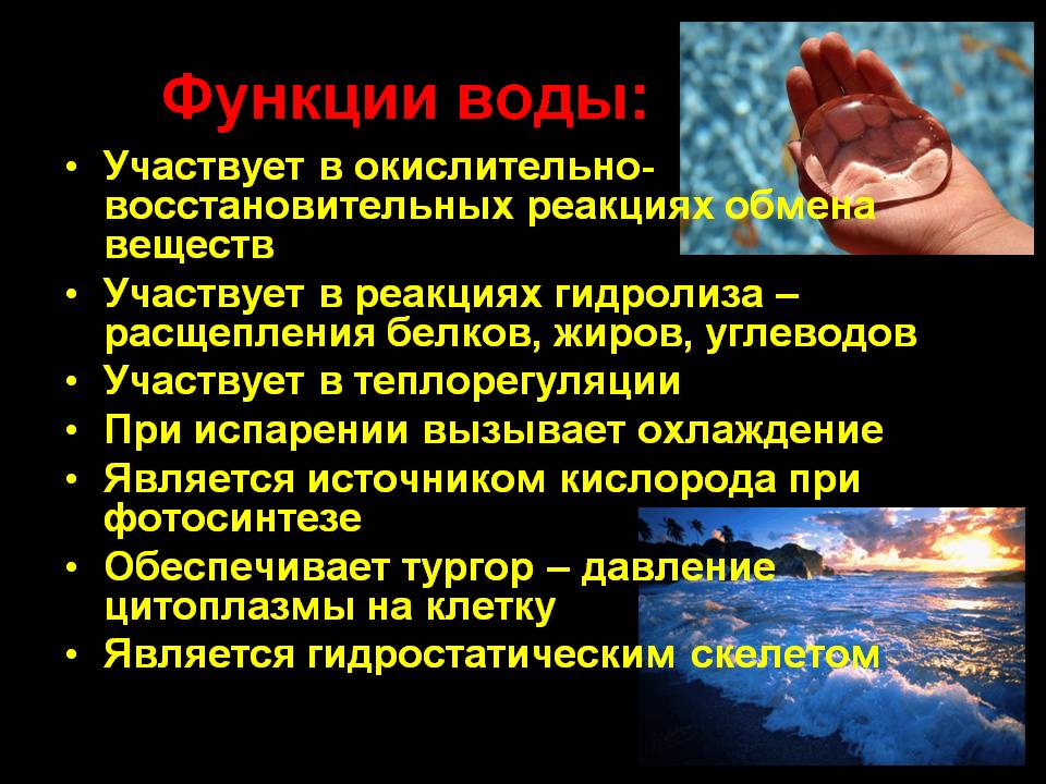 Функции воды
