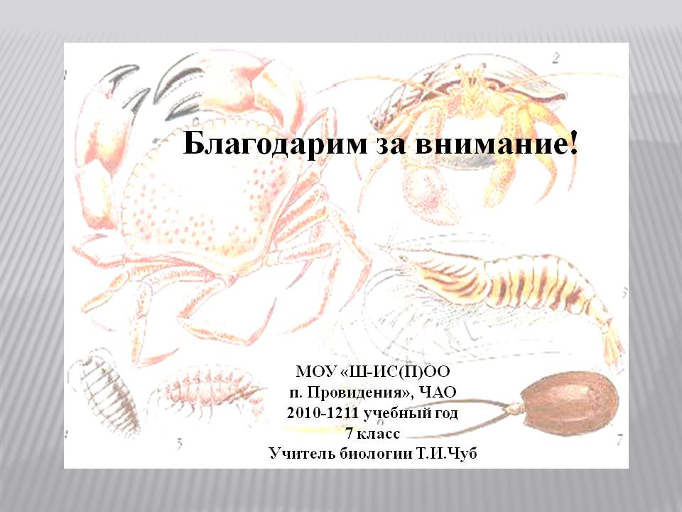 Благодарим за внимание