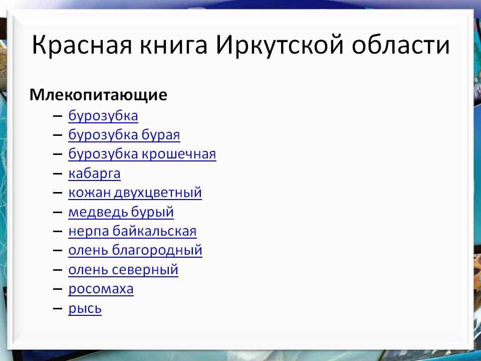 Кабарга