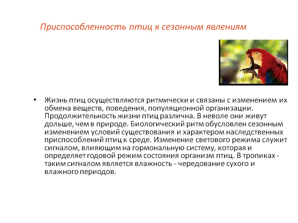 Приспособленность птиц к сезонным явлениям