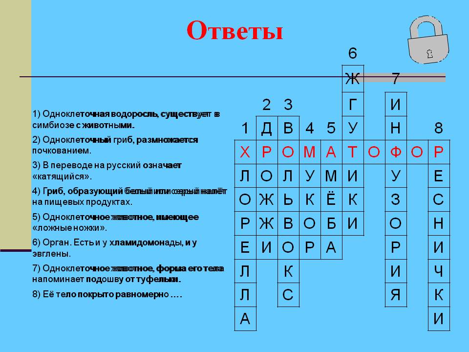 Одноклеточный гриб