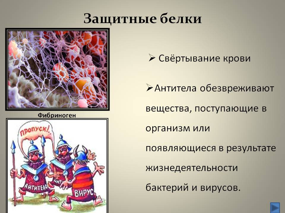 Защитные белки
