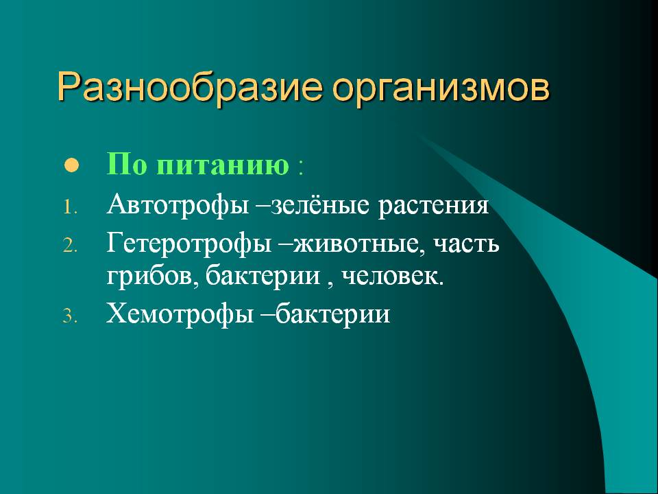 Разнообразие организмов