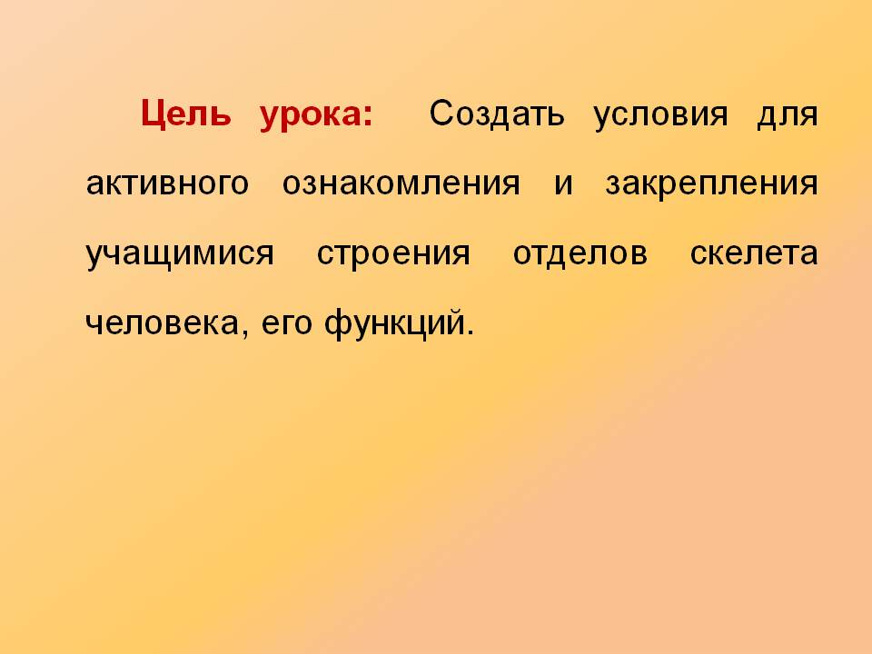 Условия для активного ознакомления и закрепления учащимися строения отделов скелета