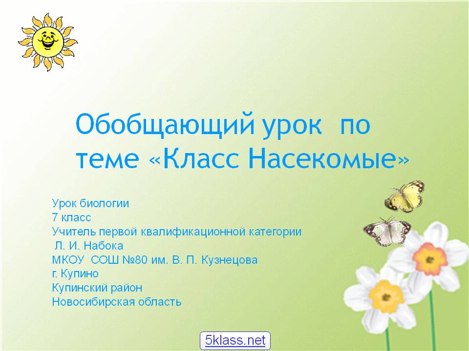 Класс насекомые
