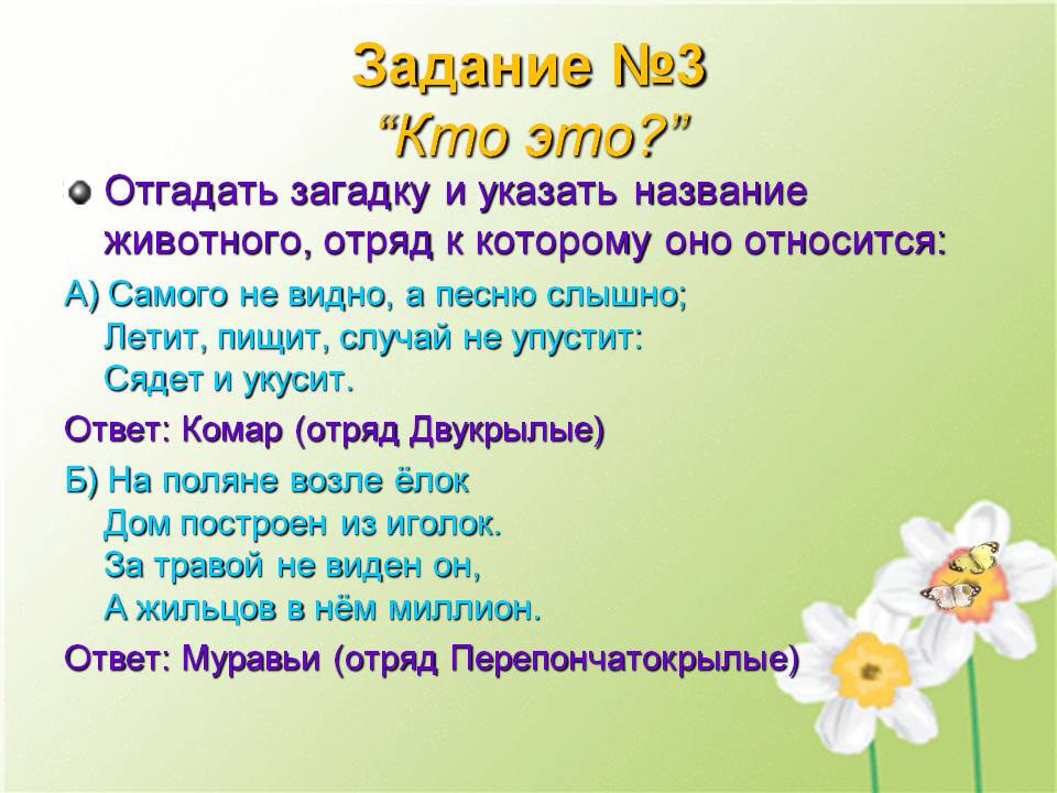 Отгадать загадку