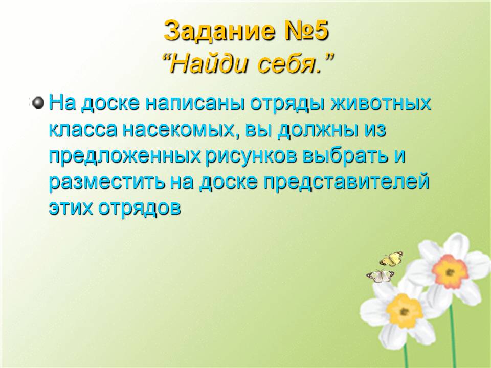 Отряды животных класса насекомых