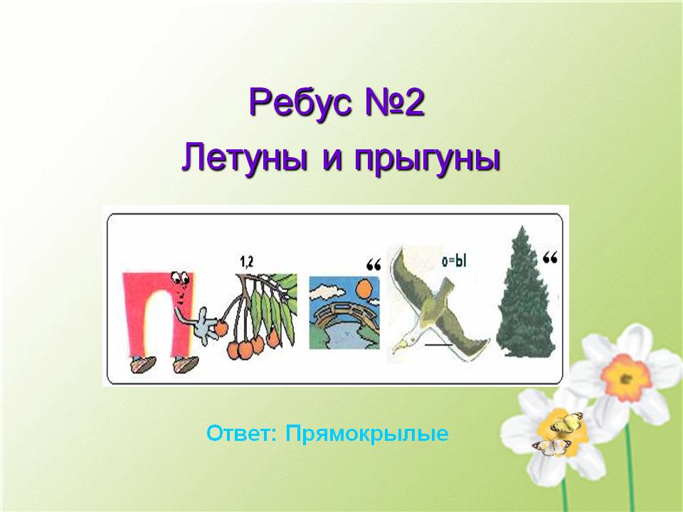 Летуны и прыгуны