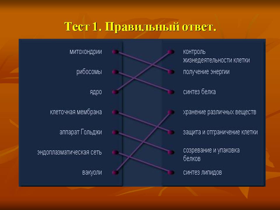 Тест 