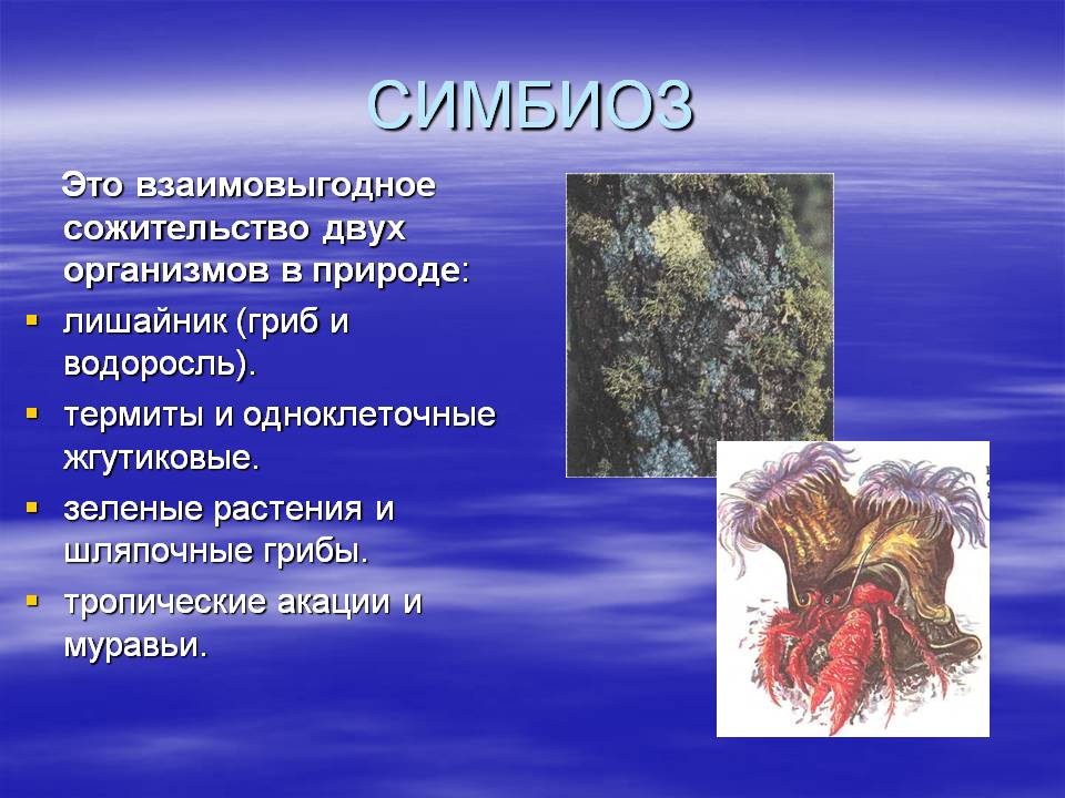 Симбиоз