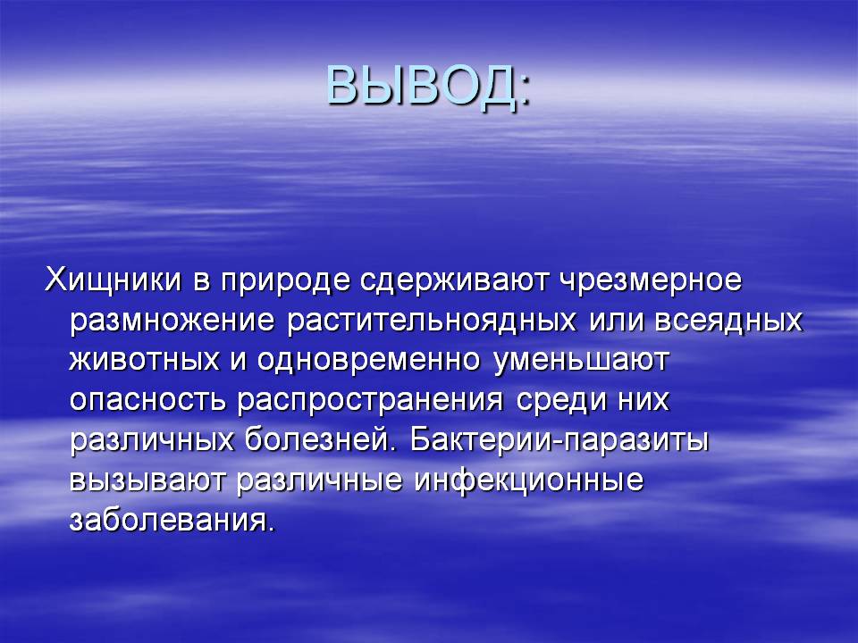Вывод: