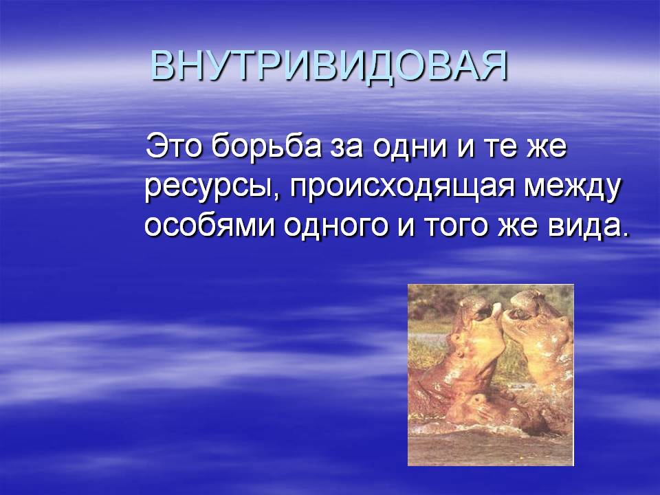 Внутривидовая