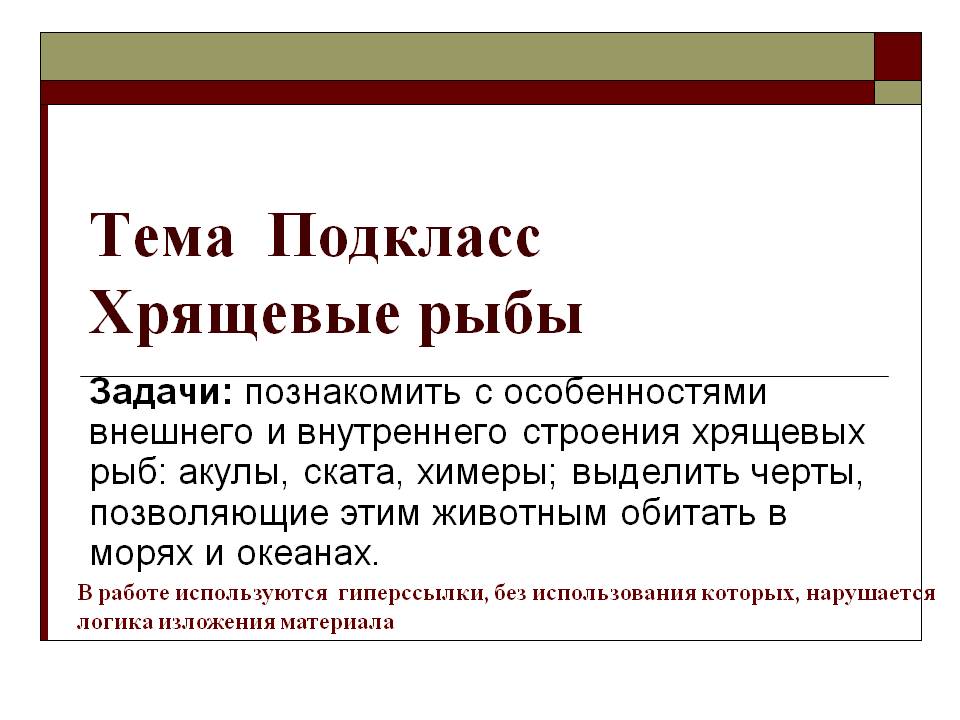 Тема Подкласс Хрящевые рыбы
