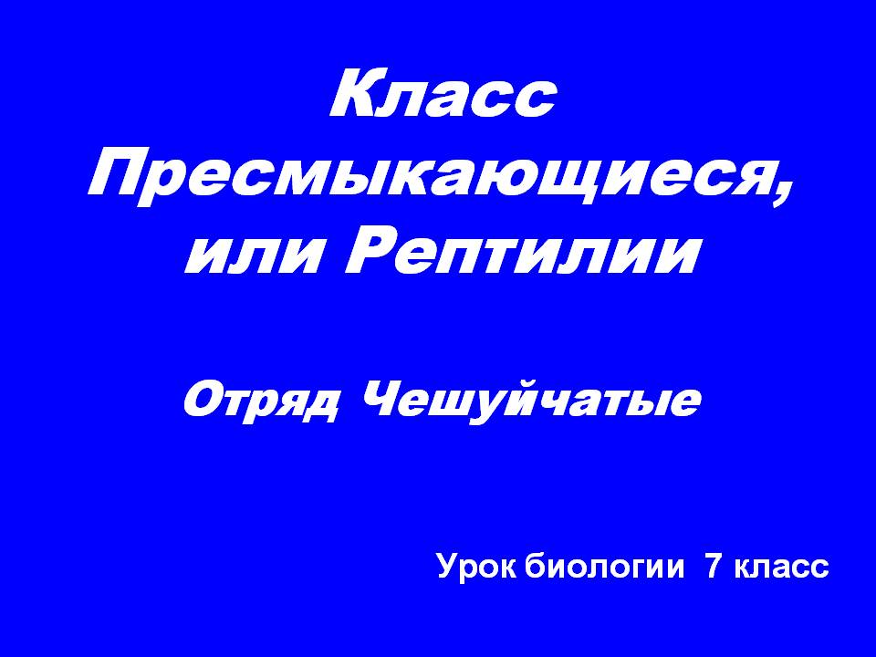 Класс Пресмыкающиеся, или Рептилии Отряд Чешуйчатые