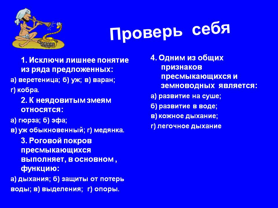 Проверь себя
