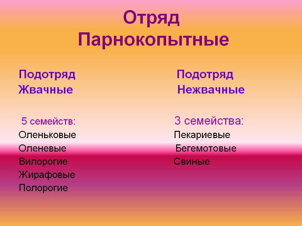 Отряд Парнокопытные