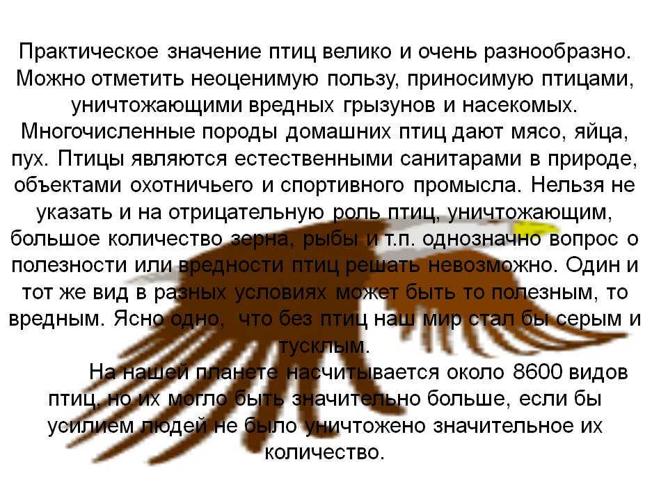 Практическое значение птиц велико и очень разнообразно