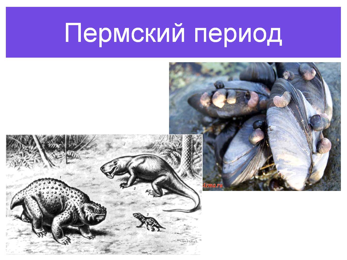 Пермский период