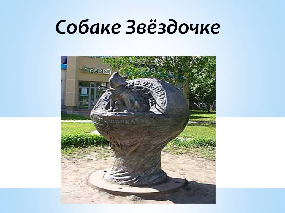 Собаке Звёздочке