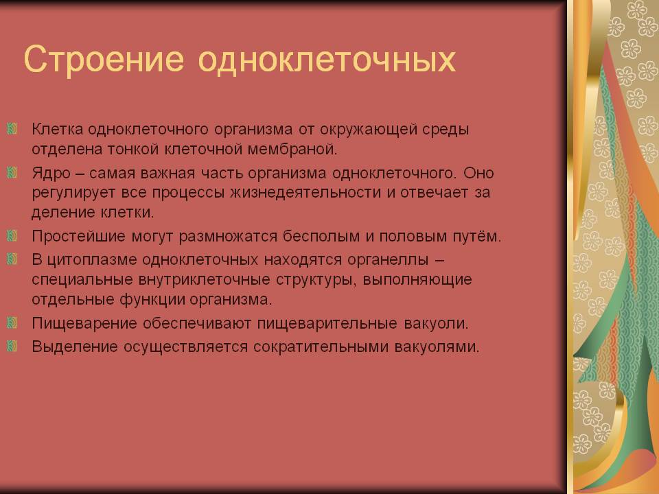 Строение одноклеточных