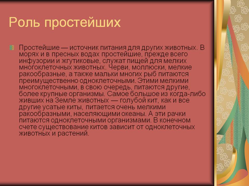 Роль простейших