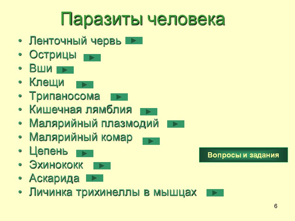 Паразиты человека
