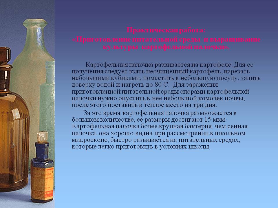 Практическая работа: «Приготовление питательной среды и выращивание