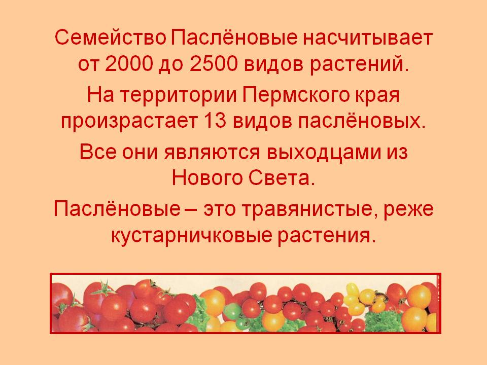 Семейство Паслёновые насчитывает от 2000 до 2500 видов растений