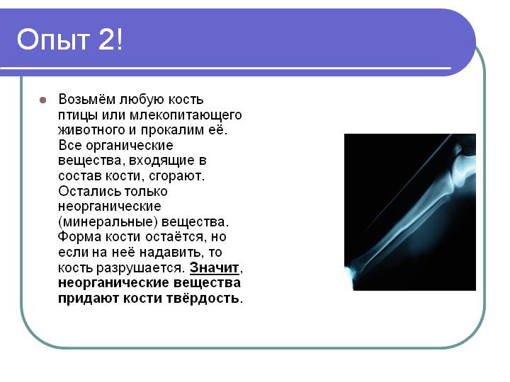 Опыт 2