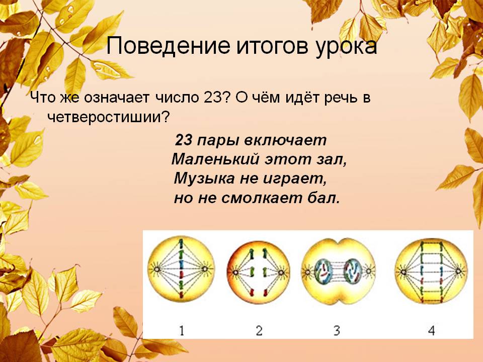 Поведение итогов урока