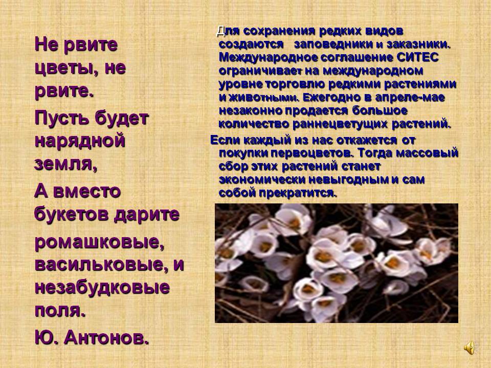 Не рвите цветы, не рвите