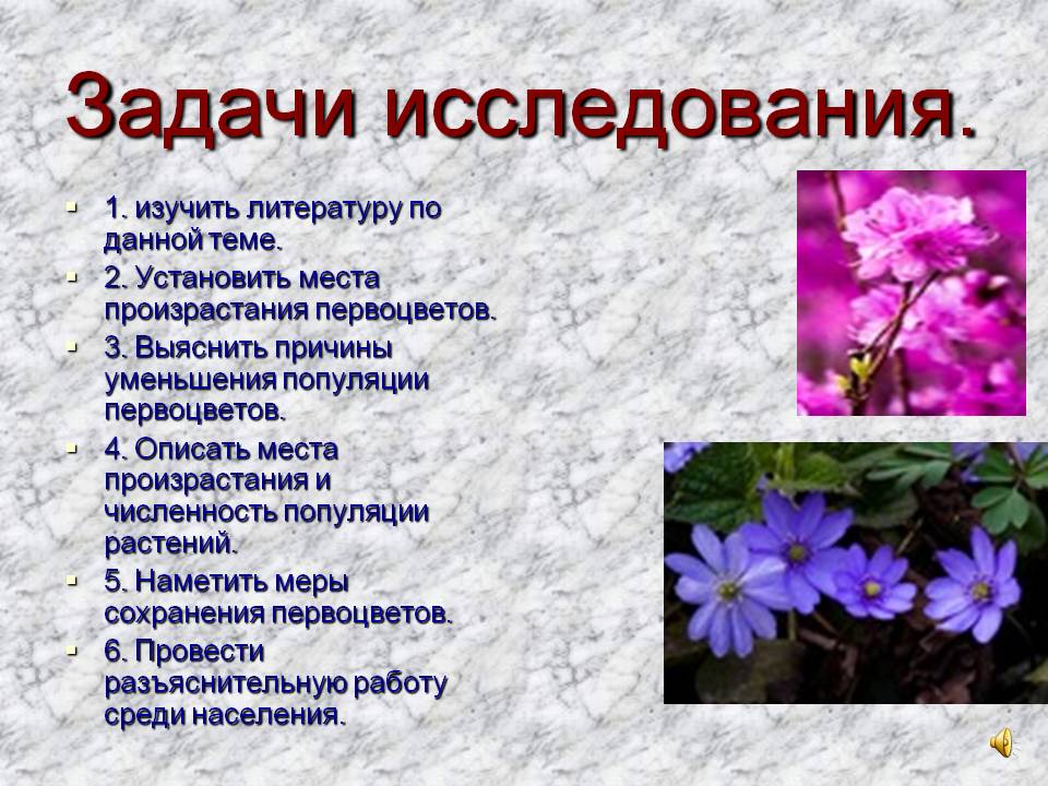 Задачи исследования