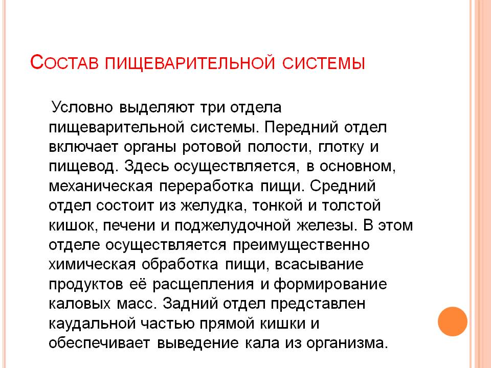 Состав пищеварительной системы