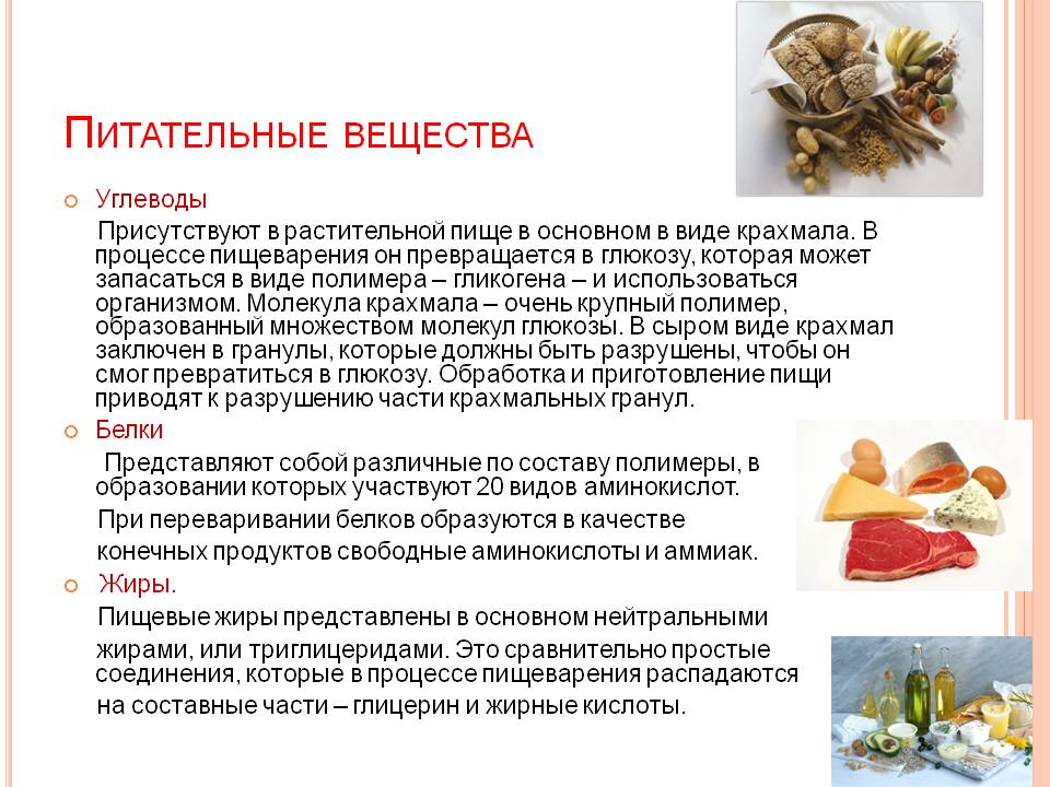 Питательные вещества