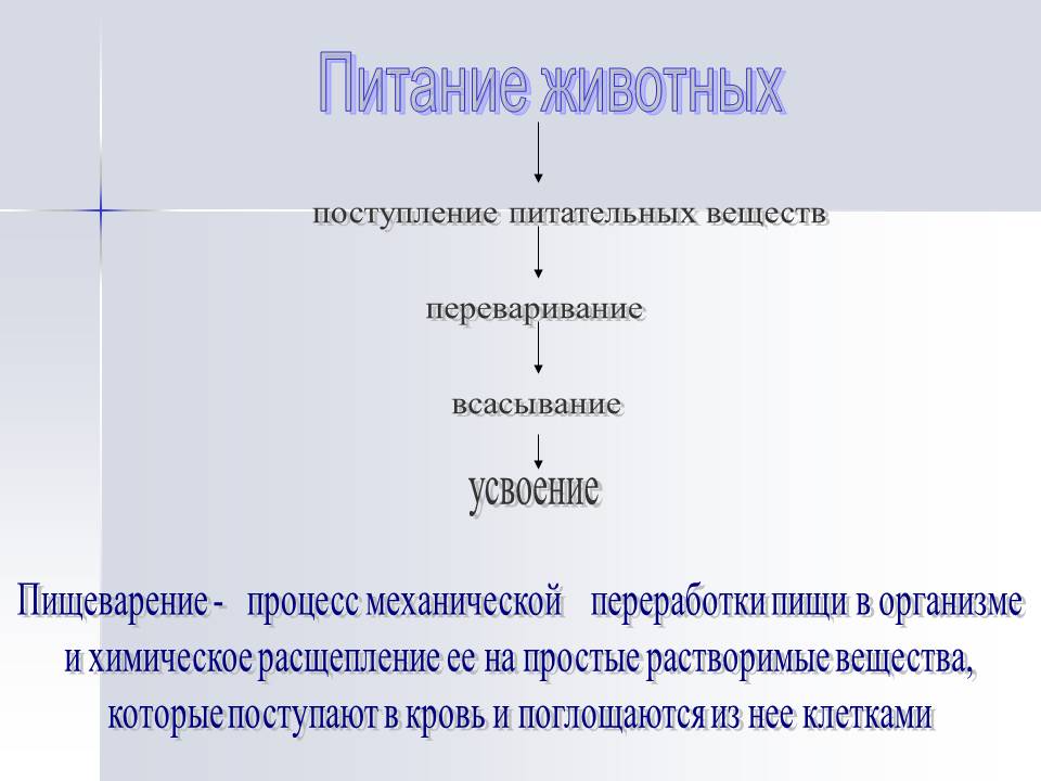 Питание животных
