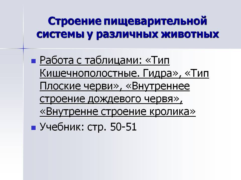 Строение пищеварительной системы у различных животных