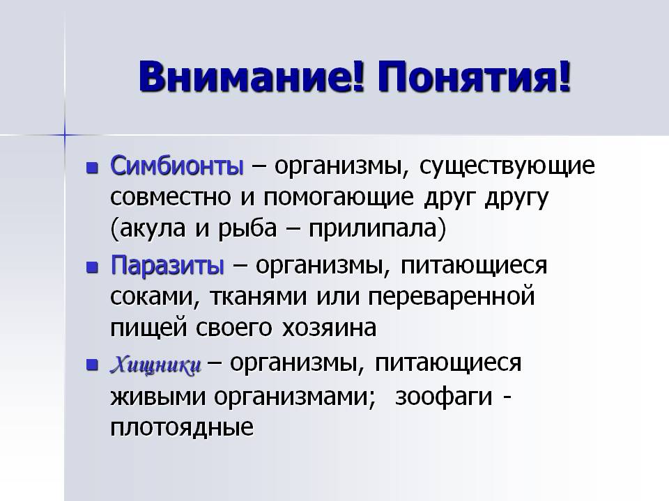 Внимание