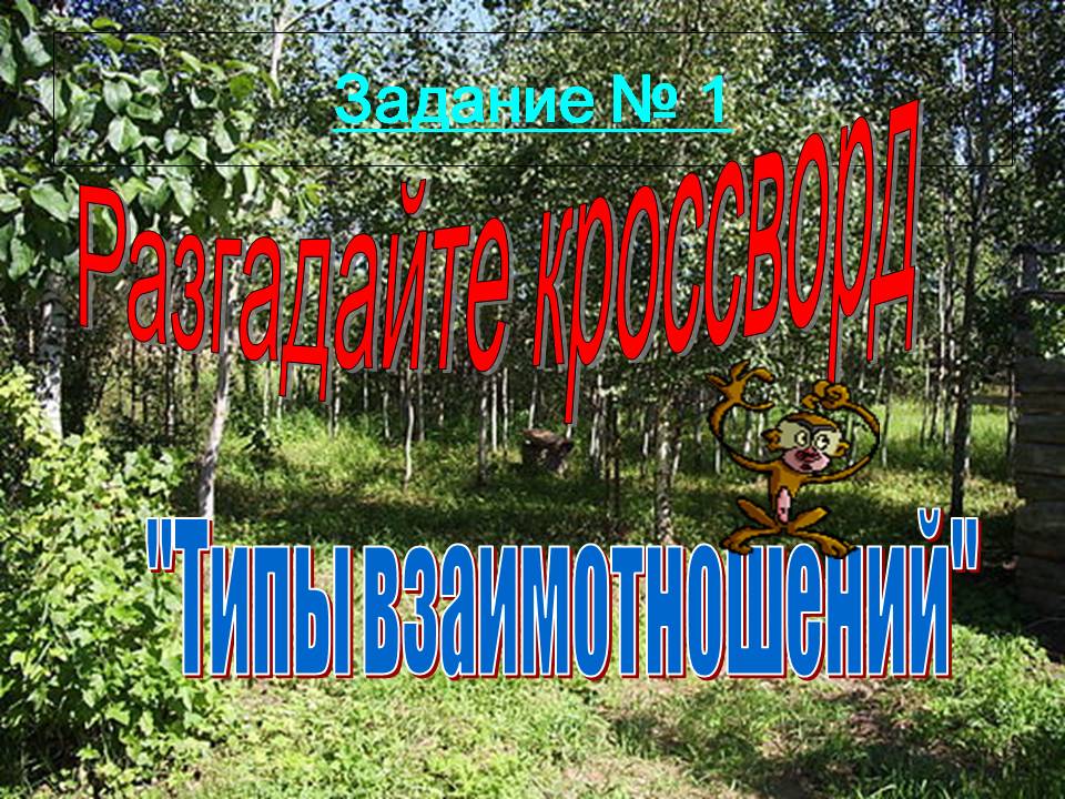 Типы взаимотношений