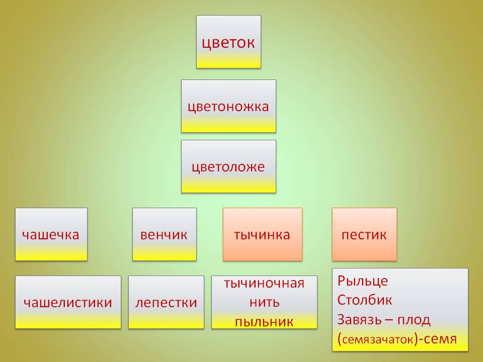 Цветок