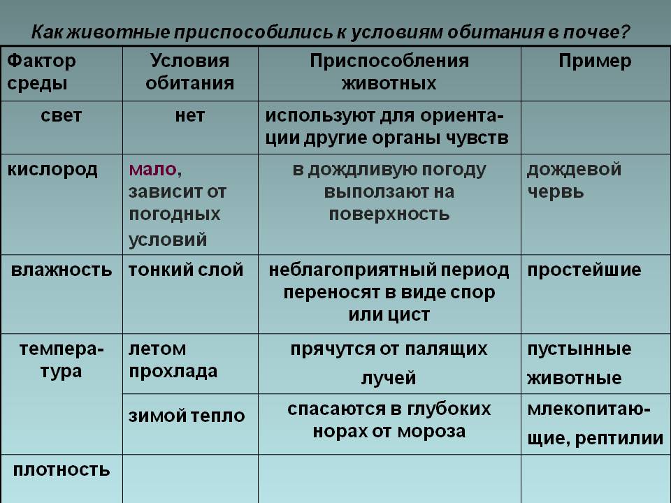 Пустынные животные