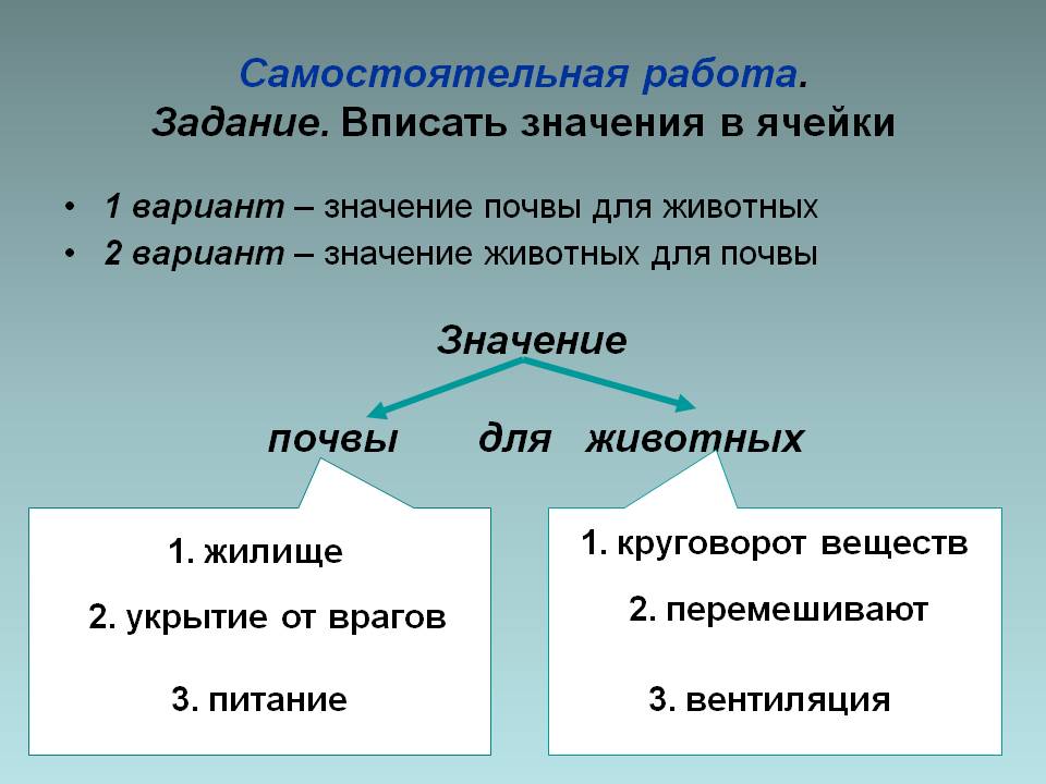 Самостоятельная работа