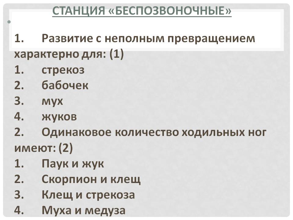 Беспозвоночные