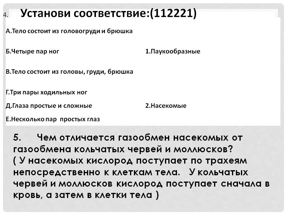 Установи соответствие