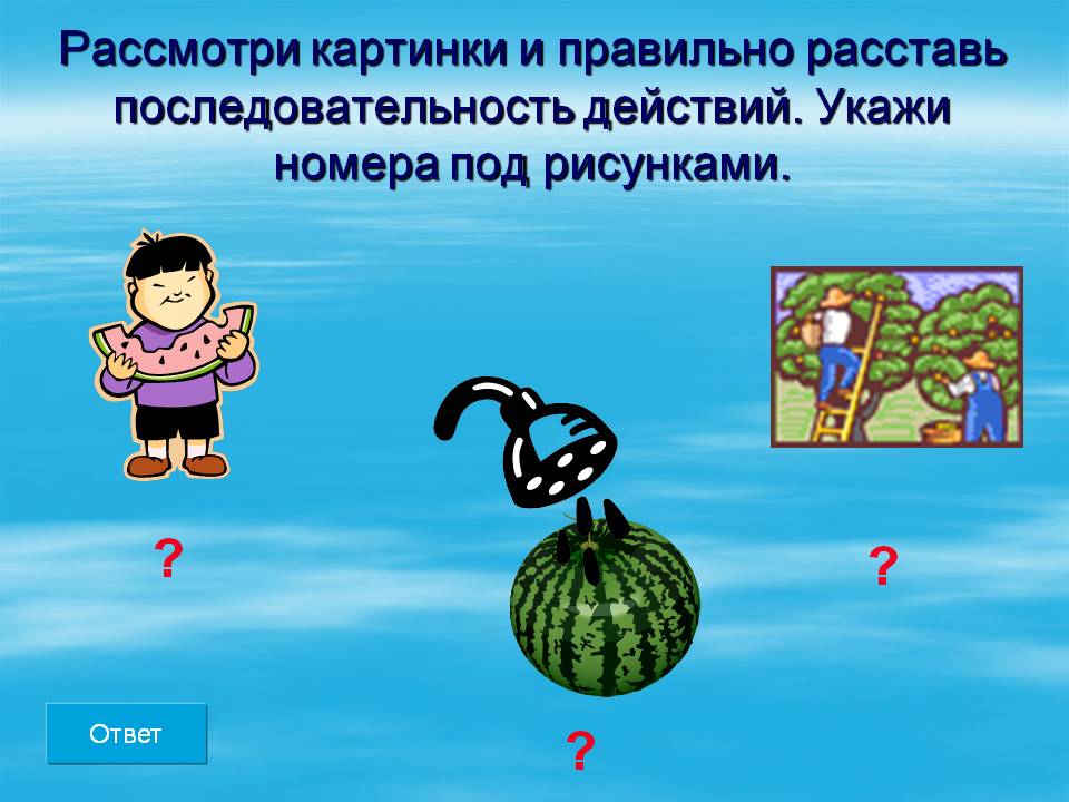 Рассмотри картинки