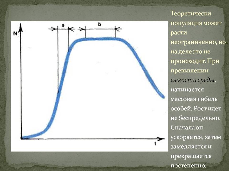 При превышении емкости среды, начинается массовая гибель особей